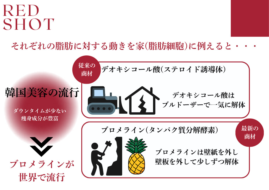 それぞれの脂肪に対する動きを家（脂肪細胞）に例えると・・・【従来の商材】デオキシコール酸（ステロイド誘導体）デオキシコール酸はブルドーザーで一気に解体　【最新の商材】ブロメライン（タンパク質分解酵素）ブロメラインは壁紙を外し壁板を外して少しずつ解体　韓国美容の流行→ ダウンタイムが少ない　痩身成分が豊富　→ブロメラインが世界で流行
